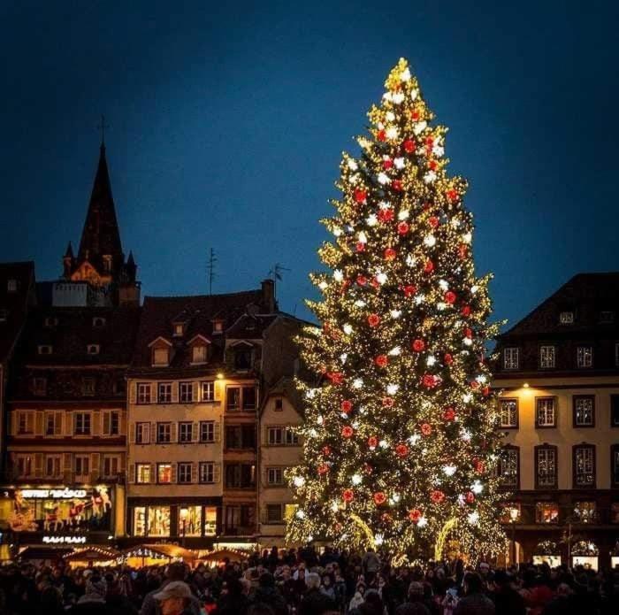 Gites Spa Strasbourg - La Villa 14 Furdenheim Экстерьер фото